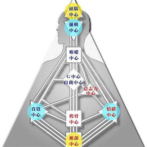 人類圖數字|人類圖怎麼看？看懂人類圖詳細解析：9大能量、4大類。